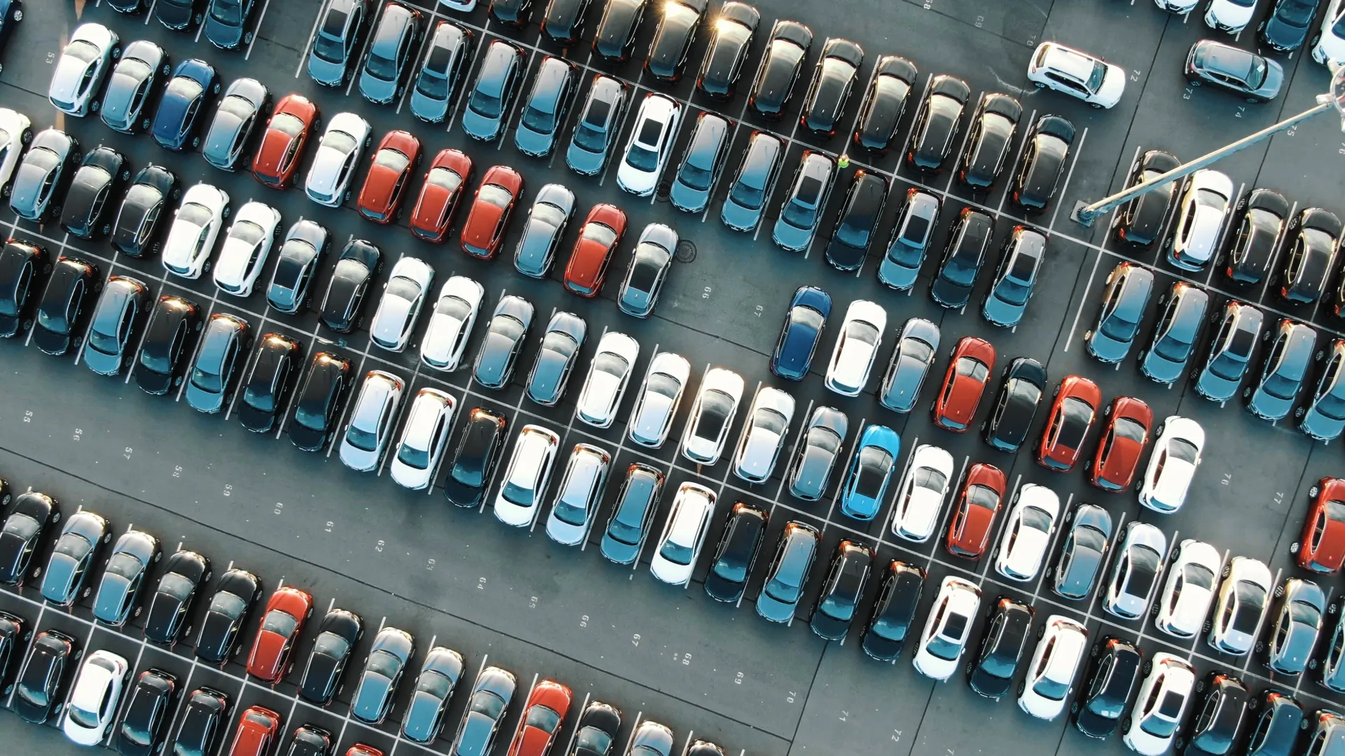 Gestione parco auto aziendale | Cronos